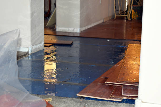 Professional Burst Pipe Cleanup technician working in Frenchtown, NJ